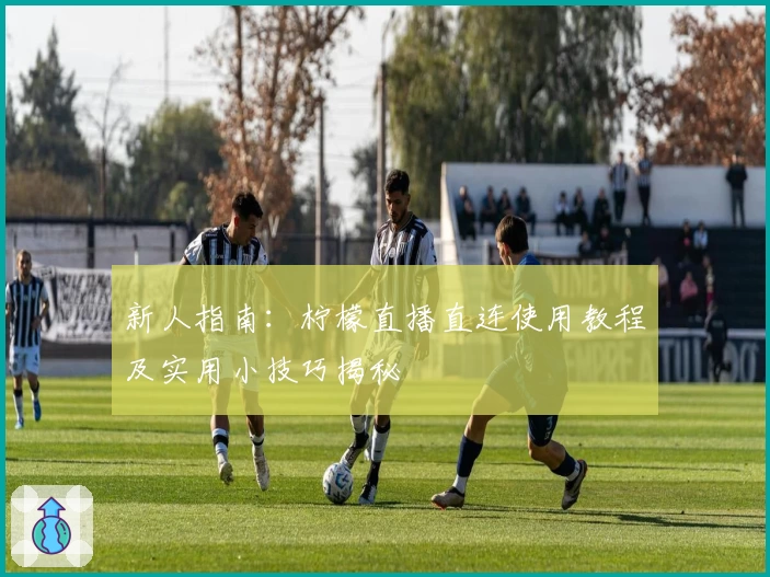 新人指南：柠檬直播直连使用教程及实用小技巧揭秘