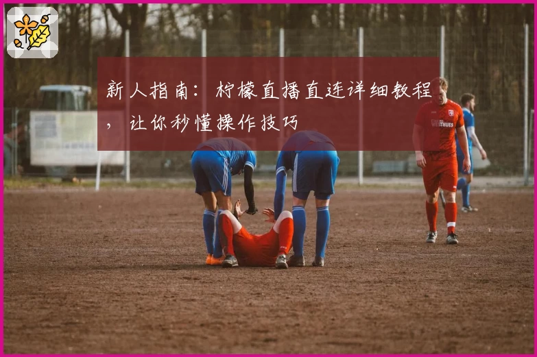 新人指南：柠檬直播直连详细教程，让你秒懂操作技巧